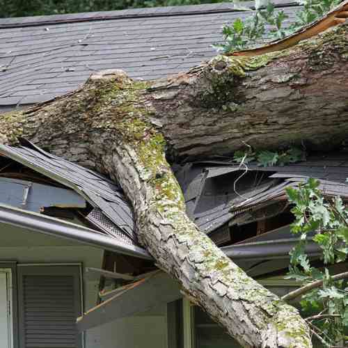 storm damage to roof_insurance claims_lady on the roof